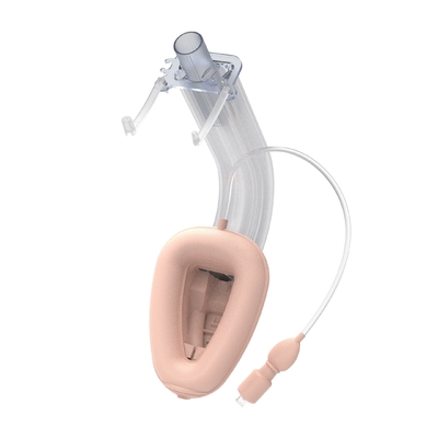 Un bon prix. Dispositifs de troisième génération pour les voies respiratoires supraglottiques avec systèmes guidés par la vision en ligne