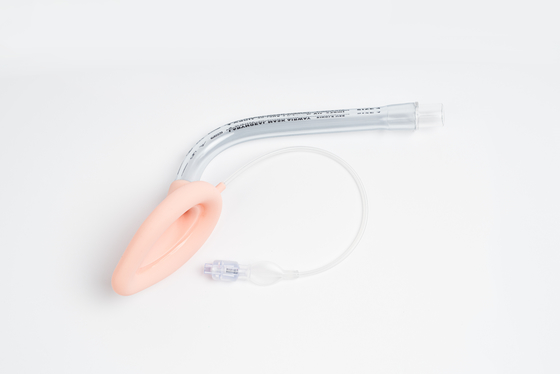 Un bon prix. PVC et Silicone Taille 3.0 Masque laryngaire voie respiratoire pour l'intubation de haute qualité en ligne